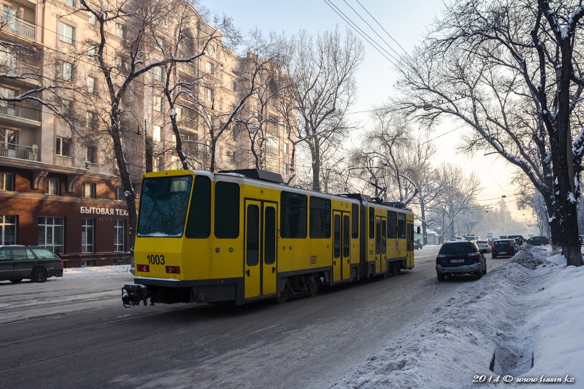 Трамвай Tatra KT4DtM № 1003,  на улице Макатаева (Пастера), 06.02.14г. #1