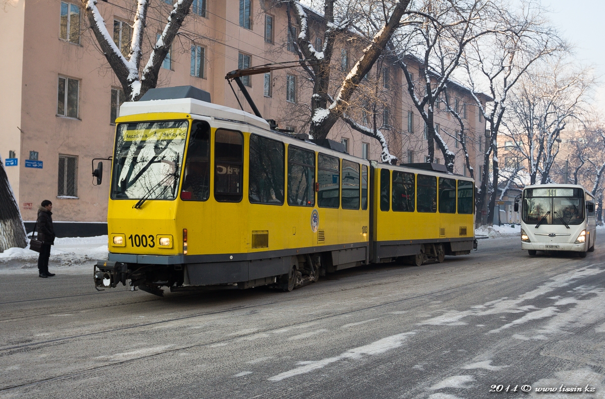 Трамвай Tatra KT4DtM № 1003,  на улице Макатаева (Пастера), 06.02.14г. #3