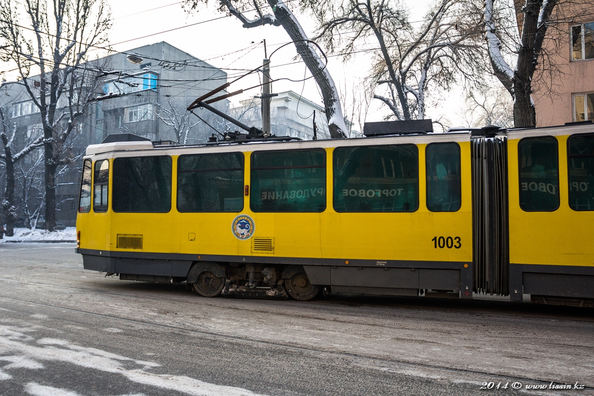 Трамвай Tatra KT4DtM № 1003,  на улице Макатаева (Пастера), 06.02.14г. #4