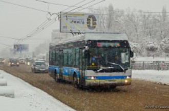 3046 YoungMan Neoplan