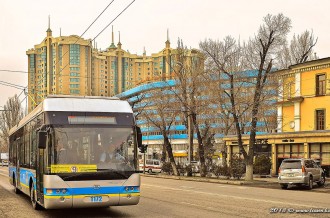 1172 YoungMan Neoplan
