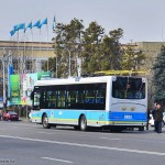 3022 YoungMan Neoplan