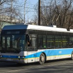 1102 YoungMan Neoplan, 14.02.13г.
